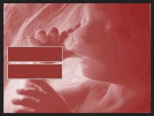 Graphic featuring an "equals" sign superimposed over a human fetus in utero.